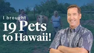 Moving To Hawaii With Pets - One Client's Experience With 19 Pets