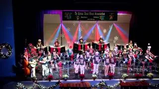 TCSBA Bram Brat&aacute; Steel Drum Mele Kalikimaka (HD)