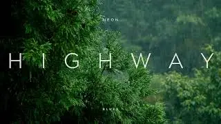 NEON HIGHWAY BLUES