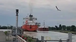 Lakeshore road lift bridge lifting for the ships Harbor Feature and Whitefish bay