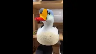 King Eider Decoys - Wigeon - Decoy Carving - Decoy Painting - Pitboss Waterfowl - Capt. Jeff Coats