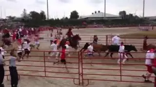 Guy Gets Trampled At The Great Bull Run - Atlanta!