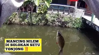 KEJADIAN LANGKA‼️ MANCING NILEM MALAH STRIKE BIAWAK‼️