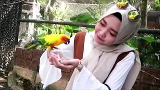 ECO GREEN PARK || Batu Malang