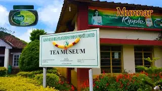 Process of Tea Manufacturing | TATA Tea Museum | Tea Factory in Munnar | Ripple Tea |Club Crafteria