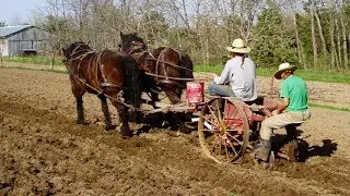 Возвращение на землю &ndash; органическая ферма Earthen Path &ndash; мобильная минутка