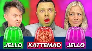 Én er IMPOSTER: Hvem fik kattemad!?