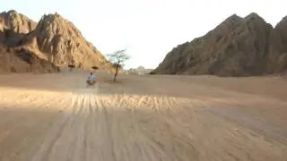Sinai Desert (HD)