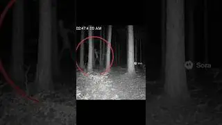The Forest camera #footage #shorts