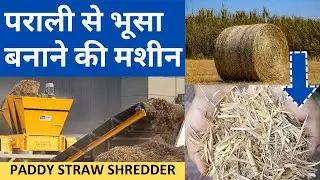 Transform Paddy Straw Waste with the Ecostan DSS 50 Dual Shaft Shredder