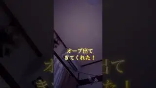 呼ぶと来てくれた座敷わらしちゃん！オーブ／#オーブ #座敷わらし #座敷童子