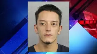 Wilson Pena arrested in Hallandale Beach hit-and-run crash