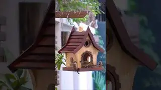 DISCOVER THE PERFECT WOODEN BIRD FEEDER FOR YOUR BACKYARD! #shortvideo #diy #birdfeeder