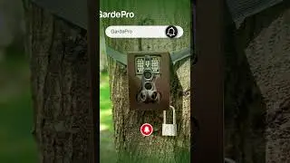 🔥2024！Get 50% Off at GardePro Trail Camera! Follow for Unboxing, Setup, Wildlife Tips & More!🌲📹