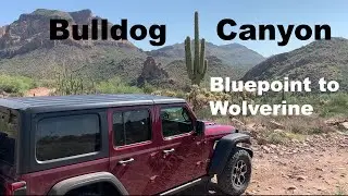 Bulldog Canyon Blue Point to Wolverine
