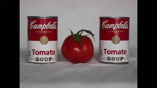WARHOLES: TWO AND A HALF DECADES OF CAN CORROSION