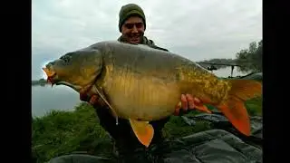 ANGLER SHOWS OFF HIS ABSOLUTELY MASSIVE RECORD CARP CATCH #Carp #Fishing