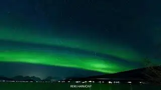 Dreamy night