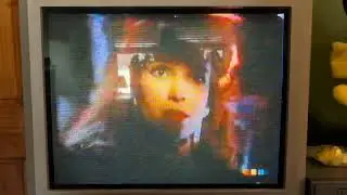 Mary Newman-Said directed Neal McCoy&rsquo;s Where Forever Begins video 