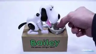 Bailey Bank - Leading Edge Novelty