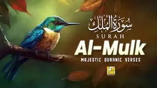 Surah AL Mulk (سورة الملك) | Relaxing And Soothing Recitation | Beautiful Recitation