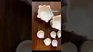Reuse of used diya🪔/  diy diya decoration #diy #bestoutofwaste #craft #creative #shorts #ganesh#new