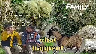 unexpected,GREAT OPEN -AIR ZOO ( nature and animal park Goldau )Filipino Swiss family