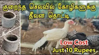 Low cost chicken feeder/drinker, cement pot - குறைந்த செலவில் நீங்களே செய்யலாம் கோழி தீவன தொட்டி