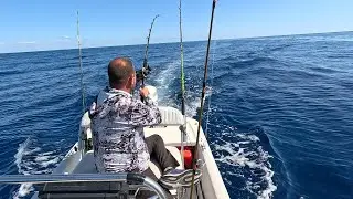 Hooked Up To My First Sailfish On The 16' Skiff While Trolling Miami!