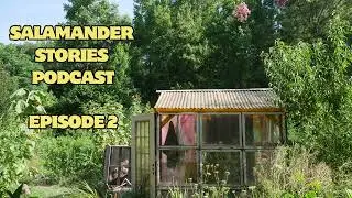 Salamander Stories Podcast- Episode 2