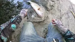 Nikko Bait Fishing challenge on 90 degree summer day!