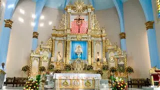 Begin the Year with Faith: New Year&rsquo;s Day Mass
