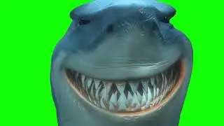 Bruce the great white shark - &ldquo;Oh, that&rsquo;s good!&rdquo; - Find Nemo (Green Screen)