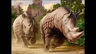 Legacy League - RUG Shardless Rhinos - inc Crashing Footfalls, Wrenn Six - 2019-06-20 | BossKrenko
