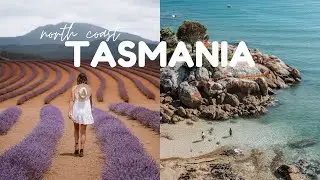 We made it to TASMANIA! | VANLIFE AUSTRALIA | Life on the road Ep. 1