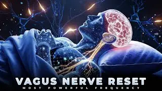 396Hz + 528Hz Vagus Nerve Reset Healing Sleep Tunęs | Release Trauma Stored In The Body