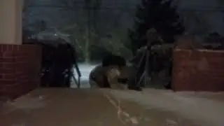 Coming Home in the Snow