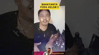 Bahaya fosil kelor #galihkelor #fosil #langka #fosiles #viral #real #kelor #unik #bahaya