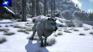 Ark Battle Snow Day 2 Light Music Extended in 1 Hour Update 257