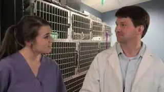 Top 10 ways veterinarians infuriate their technicians