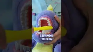 Learn the right way to brush teeth