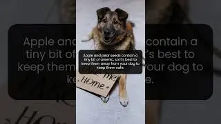 Protect your k&ouml;pek from fruit seed toxins.