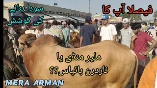 Malir Cow Mandi | Sode ki koshish