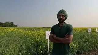 Response of Canola and Flax to Humic acid coated phosphorus fertilizer rates