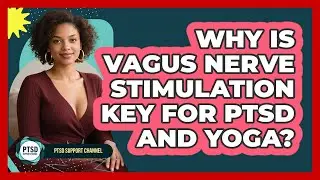 Why Is Vagus Nerve Stimulation Key For PTSD And Yoga? - PTSD Support Channel