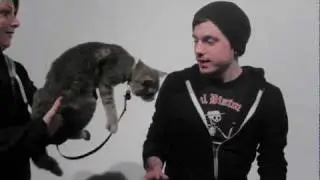 Cat PSA
