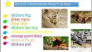 भारत में वन्यजीव संरक्षण परियोजनाएं  TOP -10 | wildlife conservation projects in India