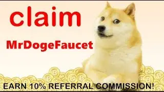 Claim 0 3902 DOGE 0 0013 USD every 0 minute minute Withdrawal FaucetHub Account to claim