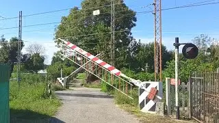 SI ABBASSA IL PL di SANGIANO... E ARRIVA VELOCISSIMO un BEL BESTIONE!!! 