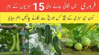 Now the time sow this 15 vegetables in february || February me ugai jane wali sabziyon k name.